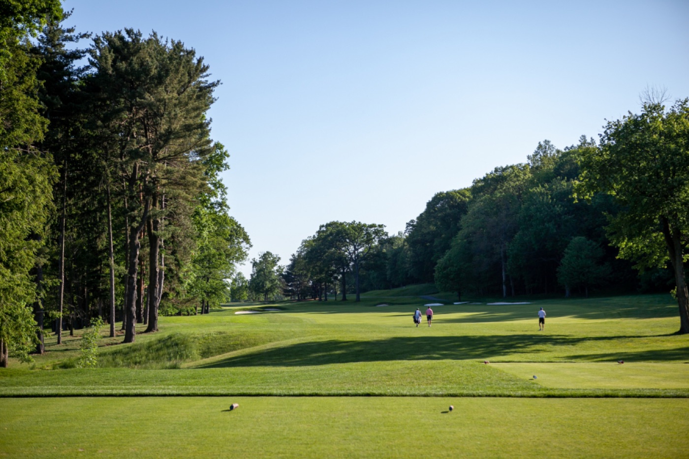 Golfer on the course